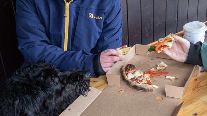 Dog sniffing a pizza at National Crust, Gibside